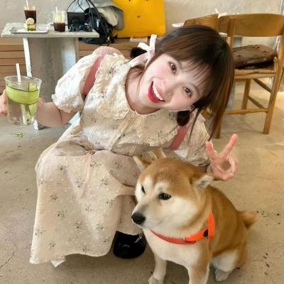 茶啊二中